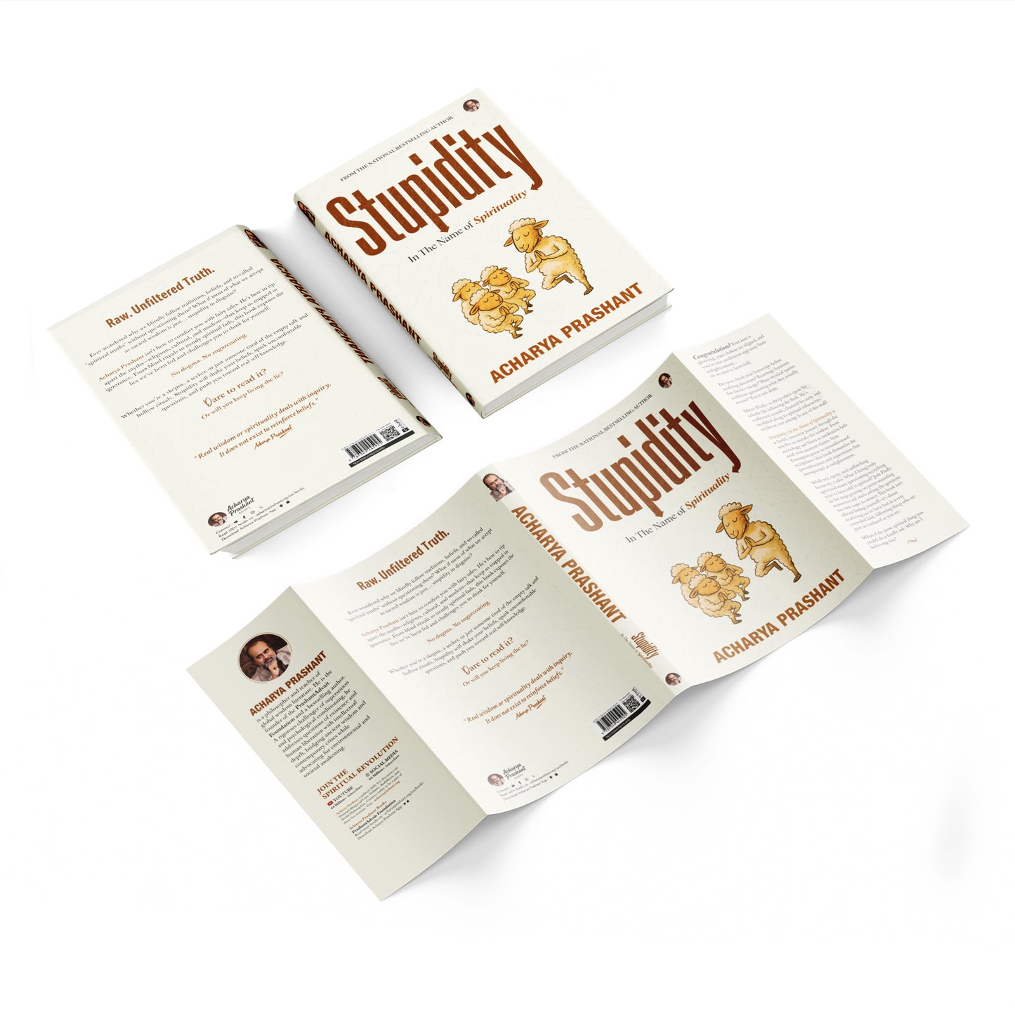 Stupidity: In the Name of Spirituality