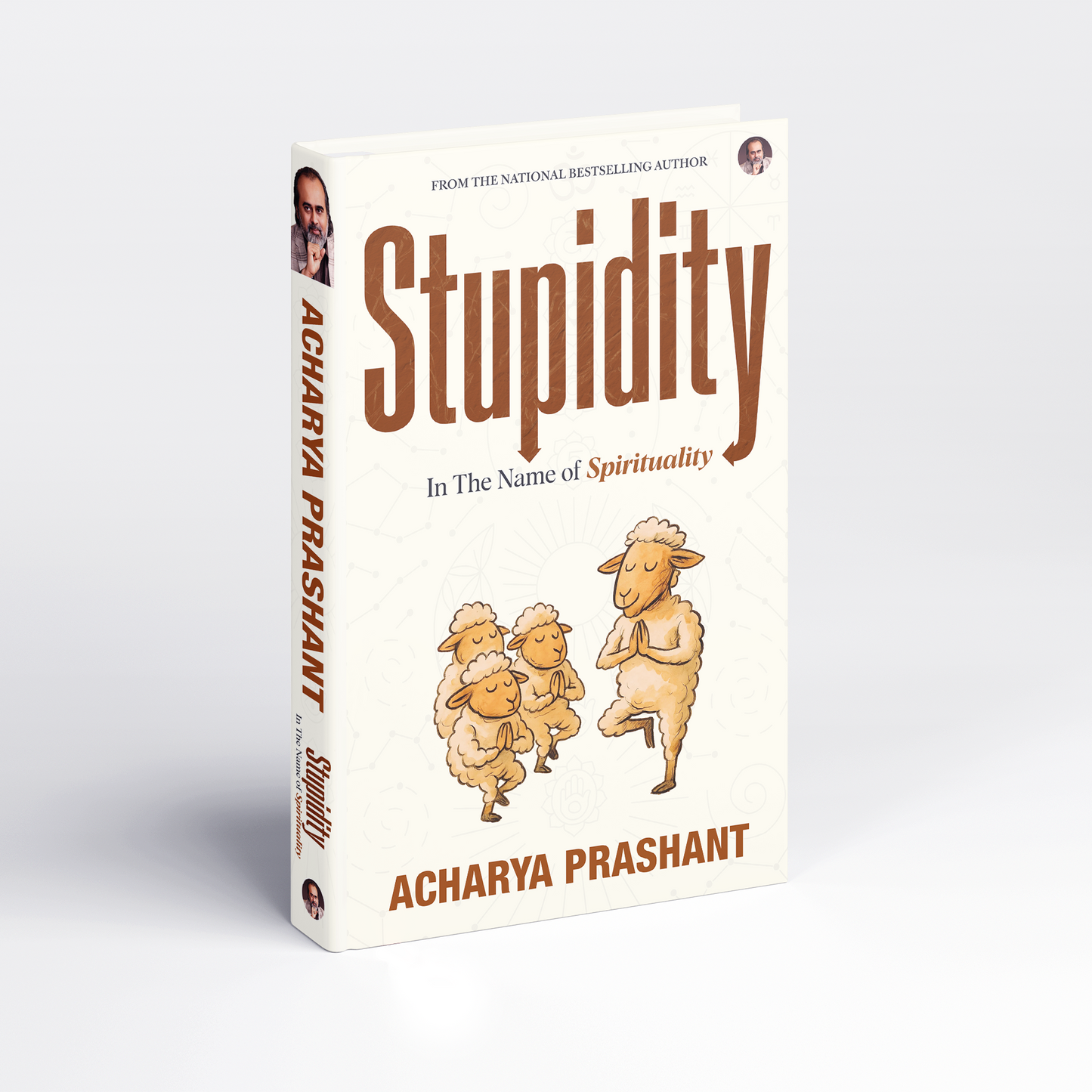Stupidity: In the Name of Spirituality