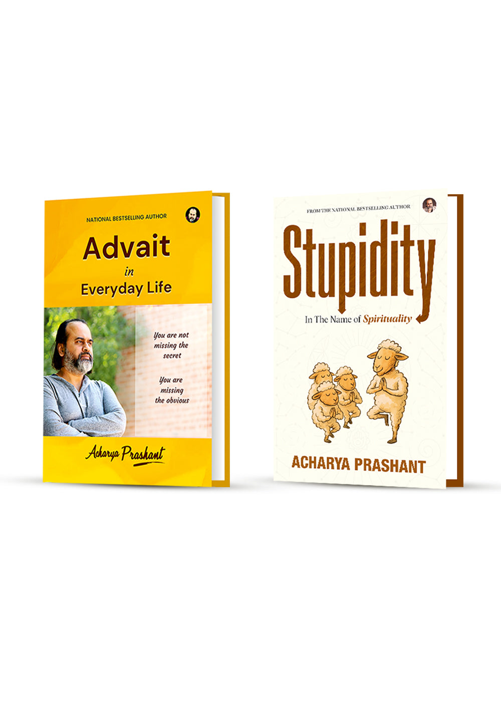 Combo 2 (Advait in Everyday Life + Stupidity)