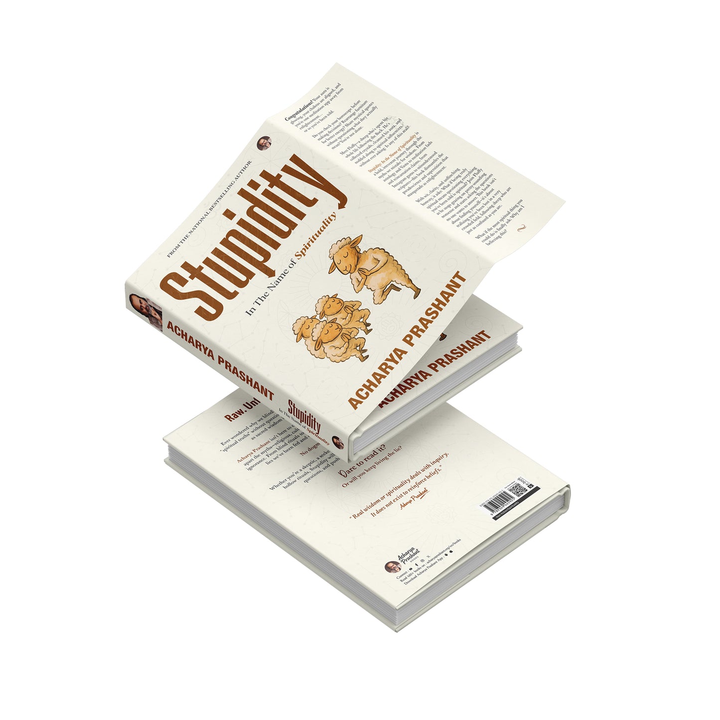 Stupidity: In the Name of Spirituality